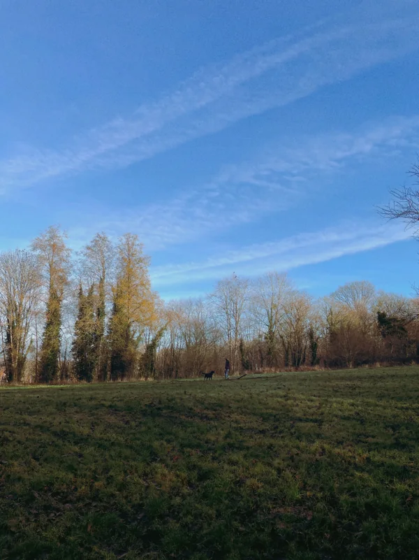 A small figure and a dog in a wide field under an open blue sky